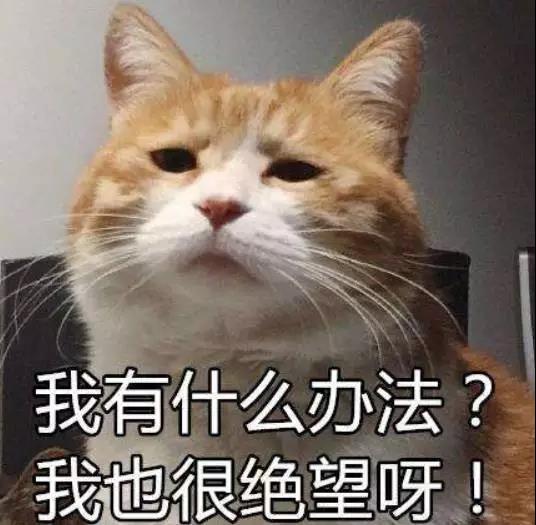 微信图片_20180716130505.jpg